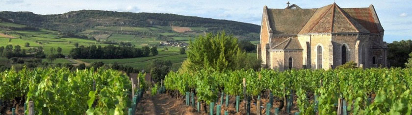 Au cœur de la Bourgogne