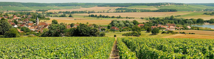 Soyez curieux, visitez la Champagne-Ardenne